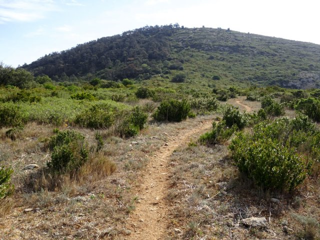Poursuivre en direction du Mont Cachoche en traversant des garrigues