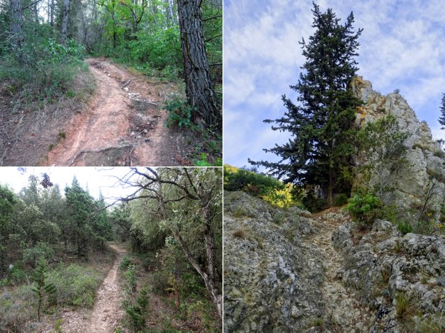 Montée assez forte dès le départ avant d'arriver aux Marmagnes
