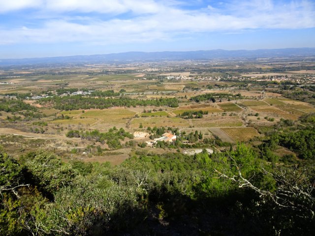 Vue sur le vignoble du Minervois depuis le chemin de Ronde