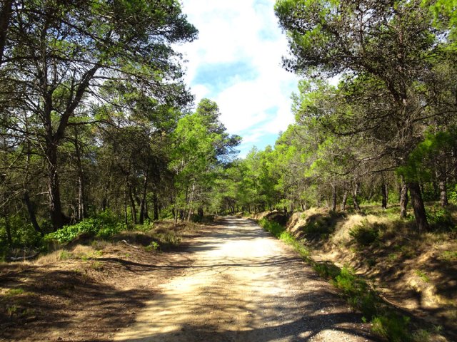 En fin de boucle, on se retrouve sur de beaux chemins