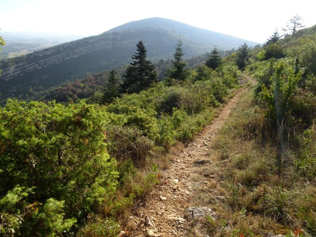 Le GR36 en direction du Mont Cachoche