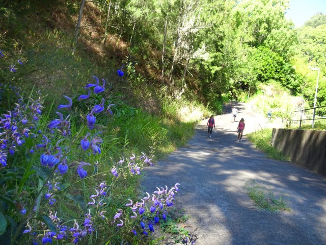 La fin de la route au plus près du barrage