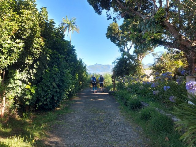 Petite route tranquille jusqu'au domaine Vidot