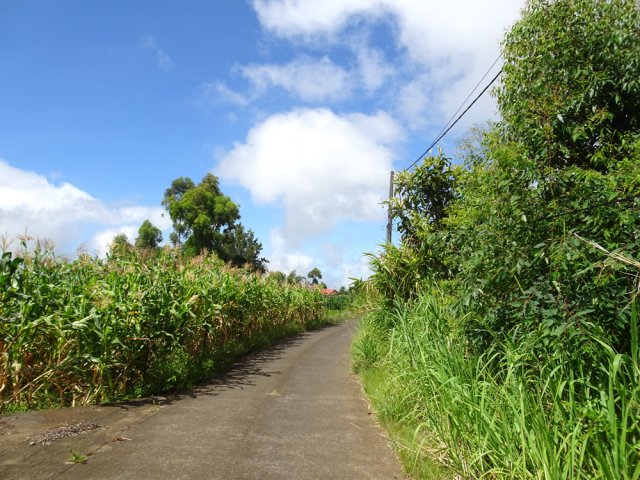 Très peu de circulation sur cette route bordant la Ligne d’Équerre