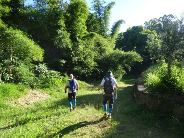 Contourner les bambous par la gauche pour rejoindre la rive gauche de la Ravine des Cafres