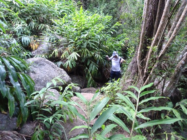 On traverse aussi des ravines discrètes envahies de longoses
