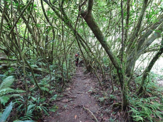 L'écoulement de l'eau sur les berges a créé de véritables sentiers
