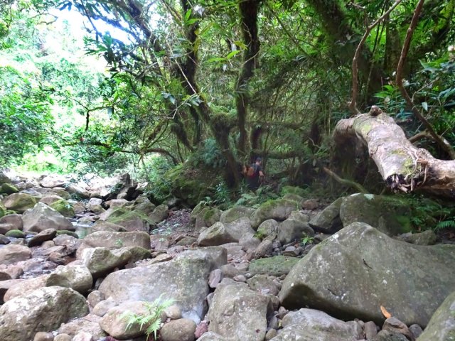 Poursuivre après ce bassin pour atteindre la cascade Kalindé