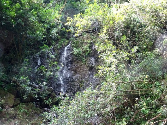 On frôle une nouvelle petite ravine et sa cascatelle