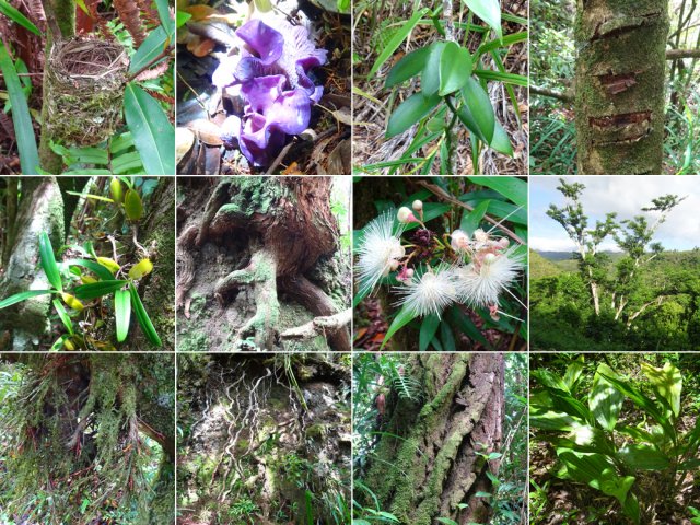 La nature offre partout de belles curiosités à découvrir