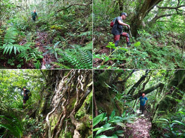 La montée est rude sur un sentier très difficile à deviner