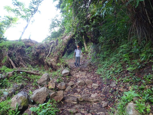 Beaucoup d'arbres couchés par Garance mais le passage est nettoyé