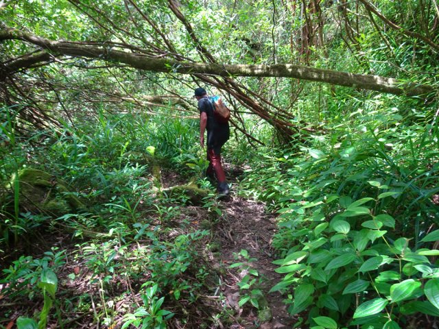 Fin de la trace et bienvenue sur le sentier