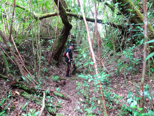 L'ancienne piste se devine à tous moments