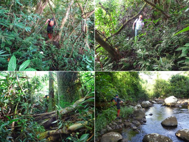 Cette trace, fort heureusement très courte, est très difficile à suivre dans une végétation touffue