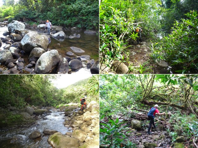 C'est parti pour 90 minutes de remontée de ravine en eau