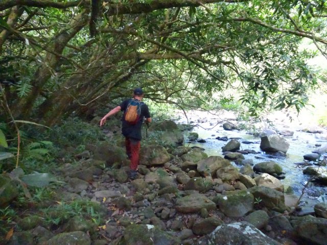 La végétation est essentiellement constituée de jamrosats