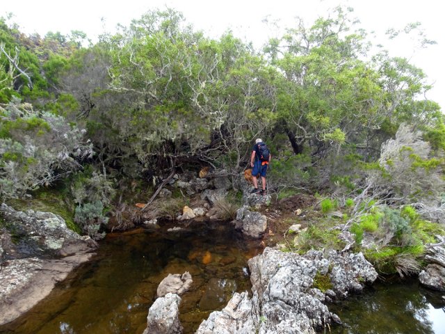 Le point de départ vers la piste DFCI