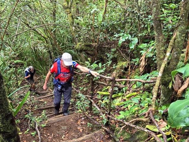 Tiens, de nouvelles montées avec rambardes !