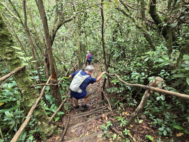Et les inévitables descentes vers les ravines