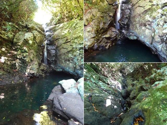 Court détour pour visiter une petite chute de la Ravine Mère Canal