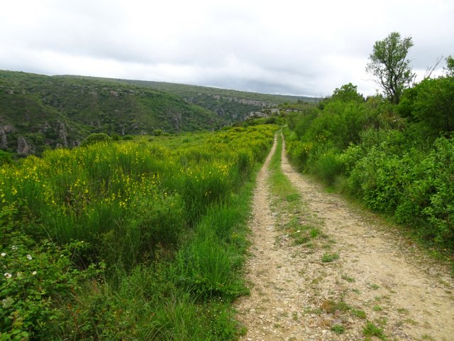 Agréable descente entre les vignes et le vide des gorges