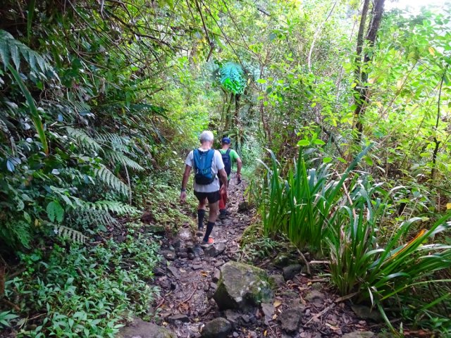 Descente constante sur terre humide et pierres