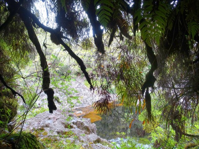 On domine un bassin depuis une grotte coiffée d'arbres moussus