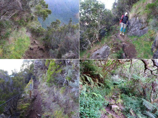Une quinzaine de lacets de descente en direction du Mapou